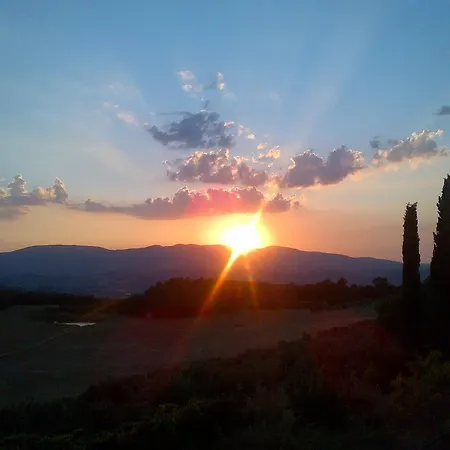 Della Genga Arezzola