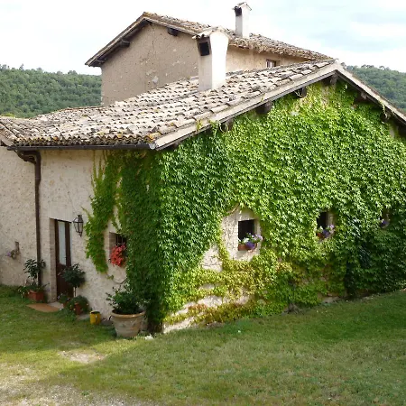 Della Genga Arezzola