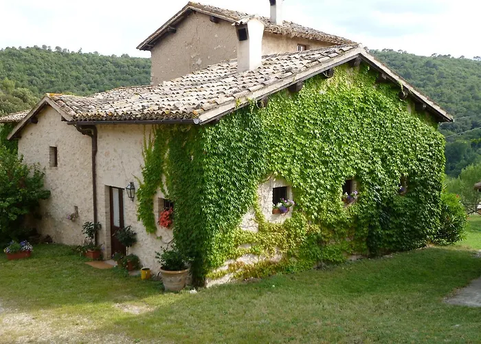 Della Genga Arezzola